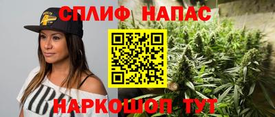 МДПВ Тара