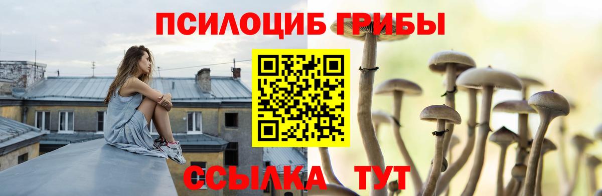 Псилоцибиновые грибы MAGIC MUSHROOMS  Псилоцибиновые грибы мухоморы  Вход с VPN  купить наркотики сайты  Отрадное 